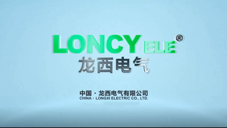 Longxi Electric Co., Ltd